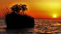 3-Day Private Tour of Danube Delta and Black Sea Tour from Bucharest