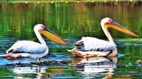 9 Day Private Tour in Danube Delta  from Bucharest