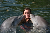 2 días de baño con delfines y aventura en hidrodeslizador en Everglades 2 días de baño con delfines y aventura en hidrodeslizador en Everglades