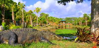 Explore la Florida salvaje desde Orlando Explore la Florida salvaje desde Orlando