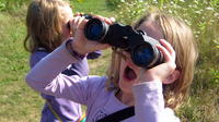 Private Tour: Bird-Watching for Beginners in Cancun