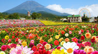 Day Trip to Mt Fuji, Dahlia Garden and the Gotemba Outlets from Tokyo