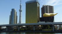 Half Day Sightseeing Tour in Tokyo