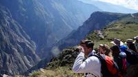 Full Day Arequipa Colca Cañon Tour