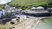 Full-Day Guided Private Port Isaac, Padstow and Tintagel Tour from Devon