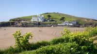 South Devon Coast and Country luxury private guided tour from Cornwall