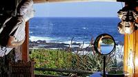 Ruta de Neruda a Isla Negra y el viñedo Undurraga desde Santiago Ruta de Neruda a Isla Negra y el viñedo Undurraga desde Santiago
