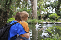 Parque Zoológico de Ática com experiência opcional de compras e traslado privado saindo de Atenas Parque Zoológico de Ática com experiência opcional de compras e traslado privado saindo de Atenas