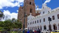 Half-Day City Tour Including Homero Ortega Hat Factory