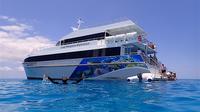 Voyage Lady Day Musgrave de Bundaberg Y compris Snorkeling, verre Tour de fond et guidée Île Marche