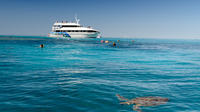 Lady Musgrave Day Trip from Bundaberg Including Snorkeling, Glass Bottom Tour and Guided Island Walk