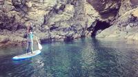 Stand Up Paddle Boarding Taster Session in Tenby