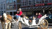 Private 20 Minute Downtown Nashville Horse and Carriage Tour