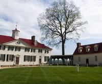 Washington DC Supersaver: Mount Vernon and Arlington National Cemetery Tour