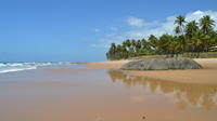 Beach Hopping Day Trip to Praia do Forte