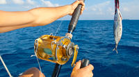 Private Deep Sea Fishing Tour from Abrantes