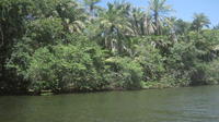 Private Jungle Boat Tour to Sapiranga Natural Reserve from Abrantes