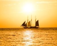 Crucero con cena de langosta desde Cozumel Crucero con cena de langosta desde Cozumel