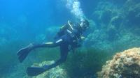 Beginner's Dive in Palma de Mallorca
