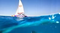 Catamaran Sailing in Palma Bay with Transfers and Paella Lunch