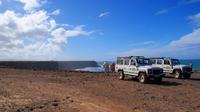 Fuerteventura Offroad Tour with Camel Ride