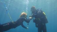 Guided Beginners Diving Session in Mallorca 