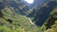 Trekking Tour Canyon of Guayadeque in Gran Canaria