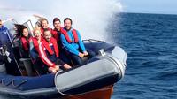 Private Group Powerboat Ride in Brighton