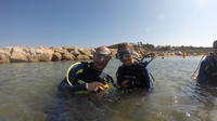Scuba Diving in Tarragona's Underwater Park 