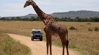 3-Day Sweetwaters: Ol Pejeta Conservancy Safari from Nairobi