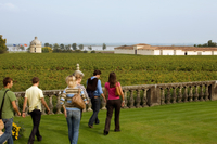 Excursion d'une demi-journée dégustation de vins dans les vignobles de Bordeaux