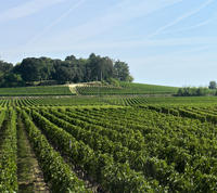 Saint-Emilion - Tagesausflug von Bordeaux: Château Weinproben und Mittagessen Saint-Emilion - Tagesausflug von Bordeaux: Château Weinproben und Mittagessen