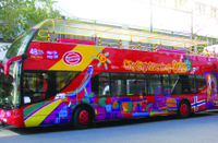 Circuit touristique en bus à Arrêts multiples à Oslo