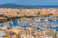 City Sightseeing Palma de Mallorca Hop-On Hop-Off Tour with Optional Boat Ride or Bellver Castle Ent