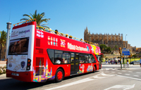 Excursión en tierra en Palma de Mallorca: recorrido en autobús turístico con paradas libres por la ciudad de Palma de Mallorca
