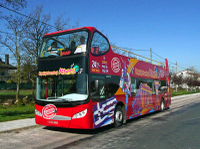 Excursion à terre à Athènes: circuit touristique en bus à Arrêts multiples Ë Athènes et au Pirée