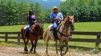 Georgia Horseback Ride with Wine Tasting