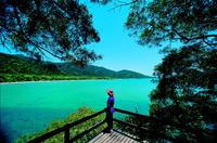 Bosque tropical Daintree, Cape Tribulation y el Rainforest Habitat Wildlife Sanctuary en un día Bosque tropical Daintree, Cape Tribulation y el Rainforest Habitat Wildlife Sanctuary en un día