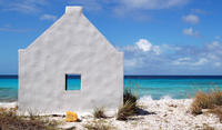 Discover Bonaire Sightseeing Tour