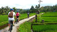 Half-Day Electric Bike Tour of Ubud