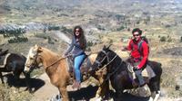 Overnight Tour: Colca Canyon Including Horse Riding from Arequipa