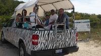 Providenciales Sunset Safari Tour