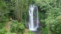 Private Tour: Munduk Waterfalls Trekking Tour