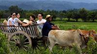 Full-Day Local Countryside Life Experience from Bangkok