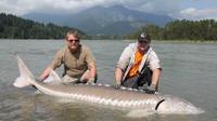 Fraser River Full-Day Fishing Adventure for Salmon or Sturgeon 