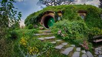 Hobbiton, Ruakuri Cave and Kiwi House Deluxe Tour from Auckland