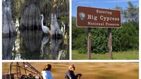 5 hour Private Everglades Tour with Miccosukee Airboat and Big Cypress National Preserve