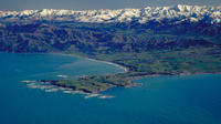 4-Day Akaroa and Kaikoura Tour from Christchurch