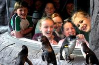 Akaroa Shore Excursion: Banks Peninsula, Christchurch City Tour et le Centre international de l'Antarctique