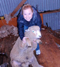 Christchurch Sheep Farm Visit